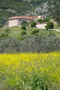 Παλαιά και Νέα Μονή Ταλαντίου (Αραχναίο)